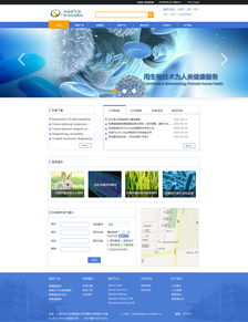 網(wǎng)頁設(shè)計 打造用戶體驗至上的Web頁面